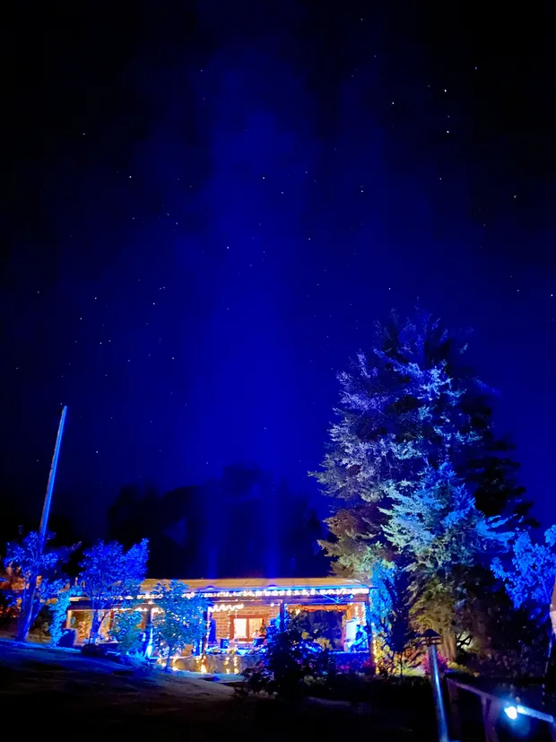 KingDome de noche, con las estrellas sobre los árboles