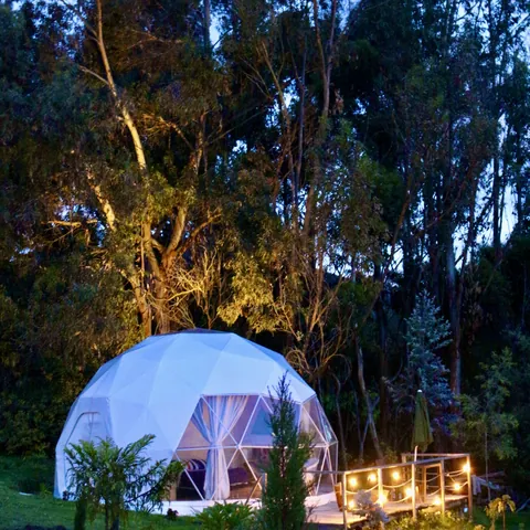 El Domo Corbeta iluminado de noche, bajo los árboles