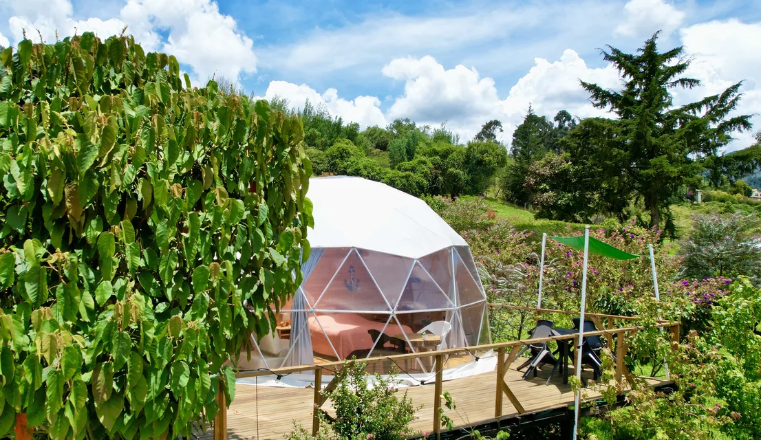 El Domo Corbeta sobre su terraza, en medio de árboles
