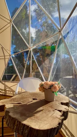La mesa de tronco junto a la ventana, en la Fragata